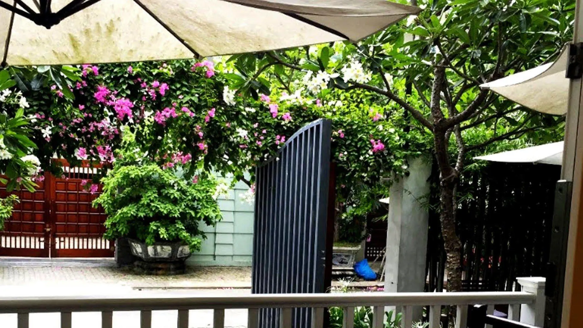 ***  Frangipani Boutique Hotel Đà Nẵng Vietnam